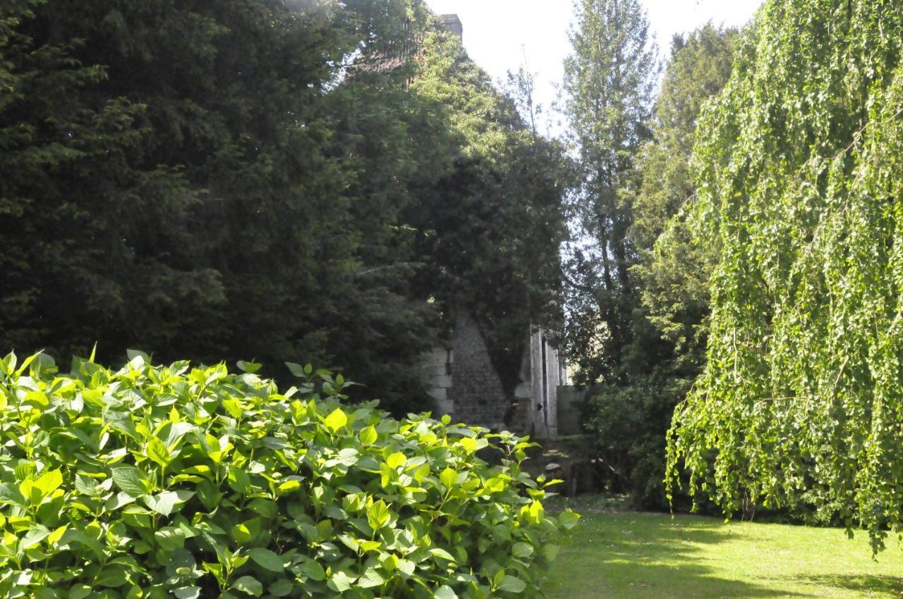 Chateau De St Sauveur D'Émalleville Dış mekan fotoğraf